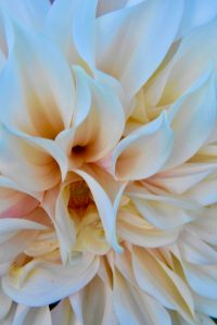 Julia Summers/Contributed photo