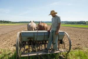 Steve Horn/contributed photo
Horse Drawn Farm on Lopez Island.