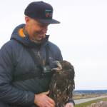 Contributed photo
Wildlife veterinarian Joe Gaydos with an eagle.