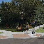 Prune Alley intersection rendering from San Juan County.