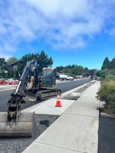 <em><strong>Colleen Smith/staff photo </strong></em>
Prune Alleys progress as of July 22.