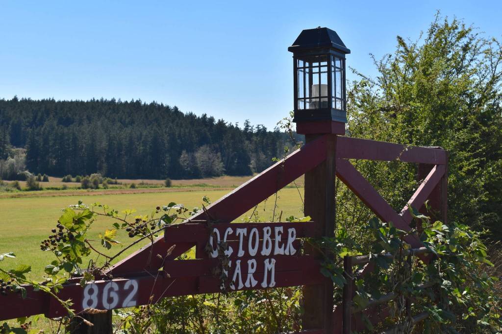 Kelley Balcomb-Bartok  Staff photo
October Farm, home of the Island have Animal Sanctuary.