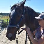 Kelley Balcomb-Bartok  Staff photo
Braunti Cobb puts a bridle on Rohann "Hans" Valentino prior to exercising him.