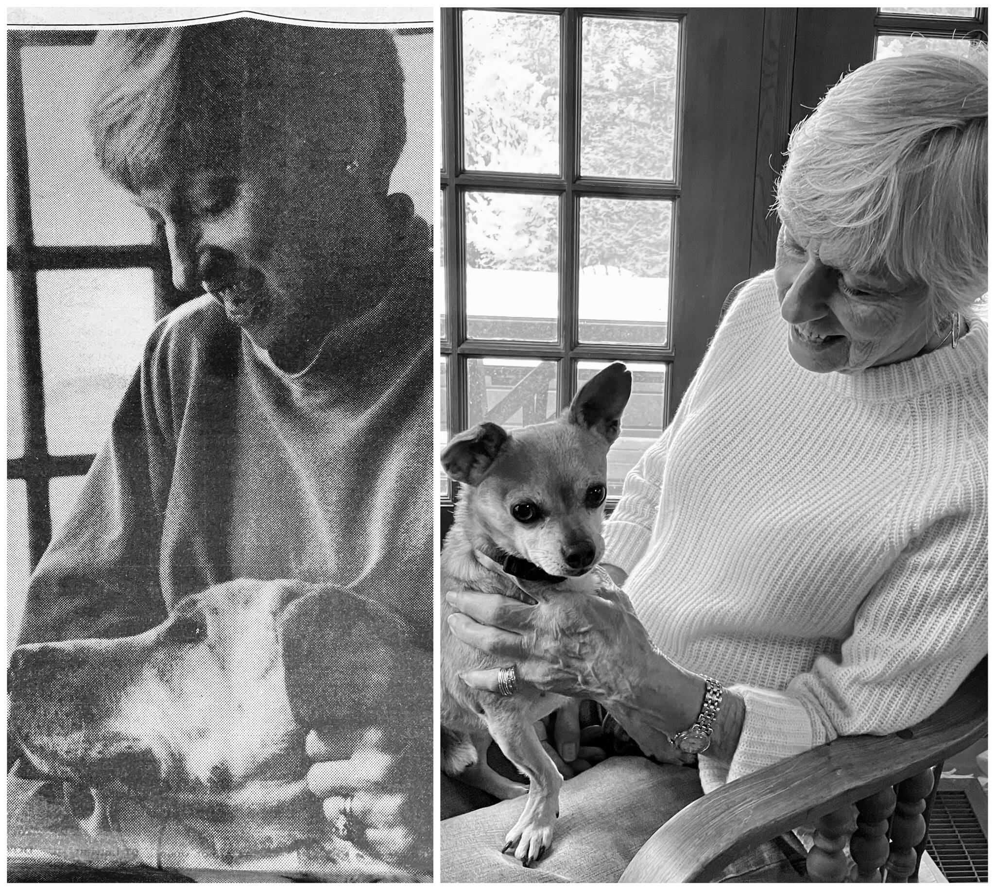 Kathy in the Farmhouse yesterday and today.