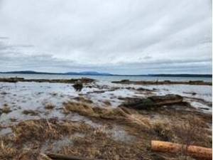 Contributed photo by Friends of the San Juans
Jakles Lagoon on San Juan Island, where the king tides have breached all three lagoons. These lagoons typically have a full bar of sand separating them from the ocean, with a little stream of water going from the lagoon into the ocean.