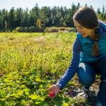 Contributed photo by Kathryn Wheeler
Amanda Zee of Sweet Earth Farms