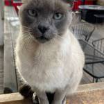 Contributed photo.
New mayor Mr. Lily.