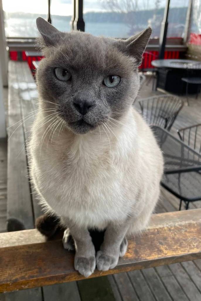 Contributed photo.
New mayor Mr. Lily.