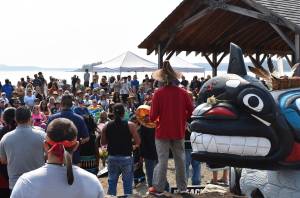 Kelley Balcomb-Bartok staff photo
Hundreds gathered Sunday at Jackson Beach Park to celebrate the life of Tokitae, aka SkaliChelh-tenaut, the last Orca whale taken from the Salish Sea and placed into captivity back in the 1970s. The event was originally going to be an installation ceremony to recognize a new Totem Story Pole, but it became so much more following the recent death of the famous whale.