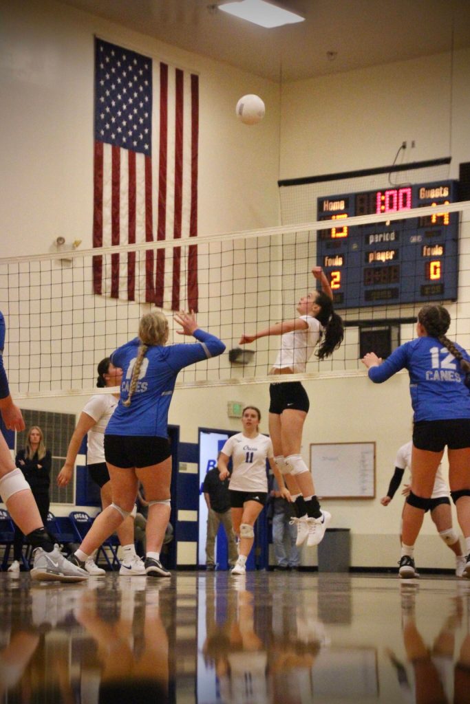 Corey Wiscomb photo.
Sera Knapp elevates for the spike.
