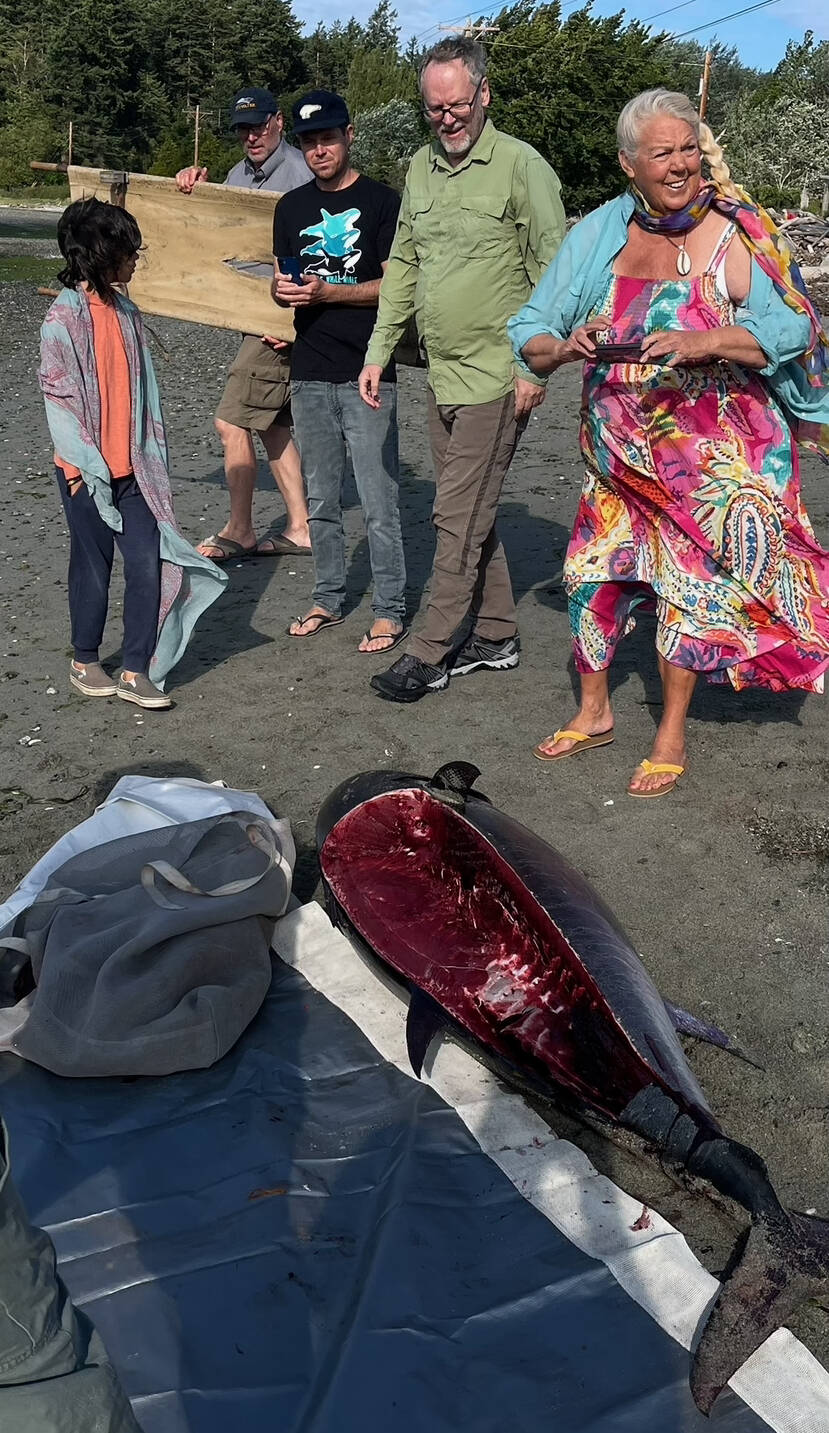 Yotam Zohar photo.
The tuna after Josh Brown (in the back carrying a gurney) harvest a 45-pound filet.