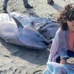 Noah and the bluefin tuna on Crescent Beach on July 11.
