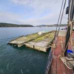 Crane and barge remove derelict floats from Blind Bay on Shaw Island