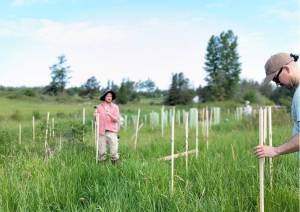 Islands Conservation Corps crew members plant trees to improve stream corridors.