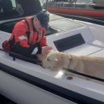 Contributed photo by the US Coast Guard Bellingham Station
Coast Guard crew with the dogs.