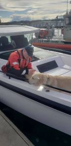 Contributed photo by the US Coast Guard Bellingham Station
Coast Guard crew with the dogs.