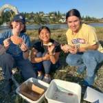 Contributed photo
Volunteers with Friends of the San Juans learning how to identify and report the highly invasive European green crab on beaches in the San Juan Islands.