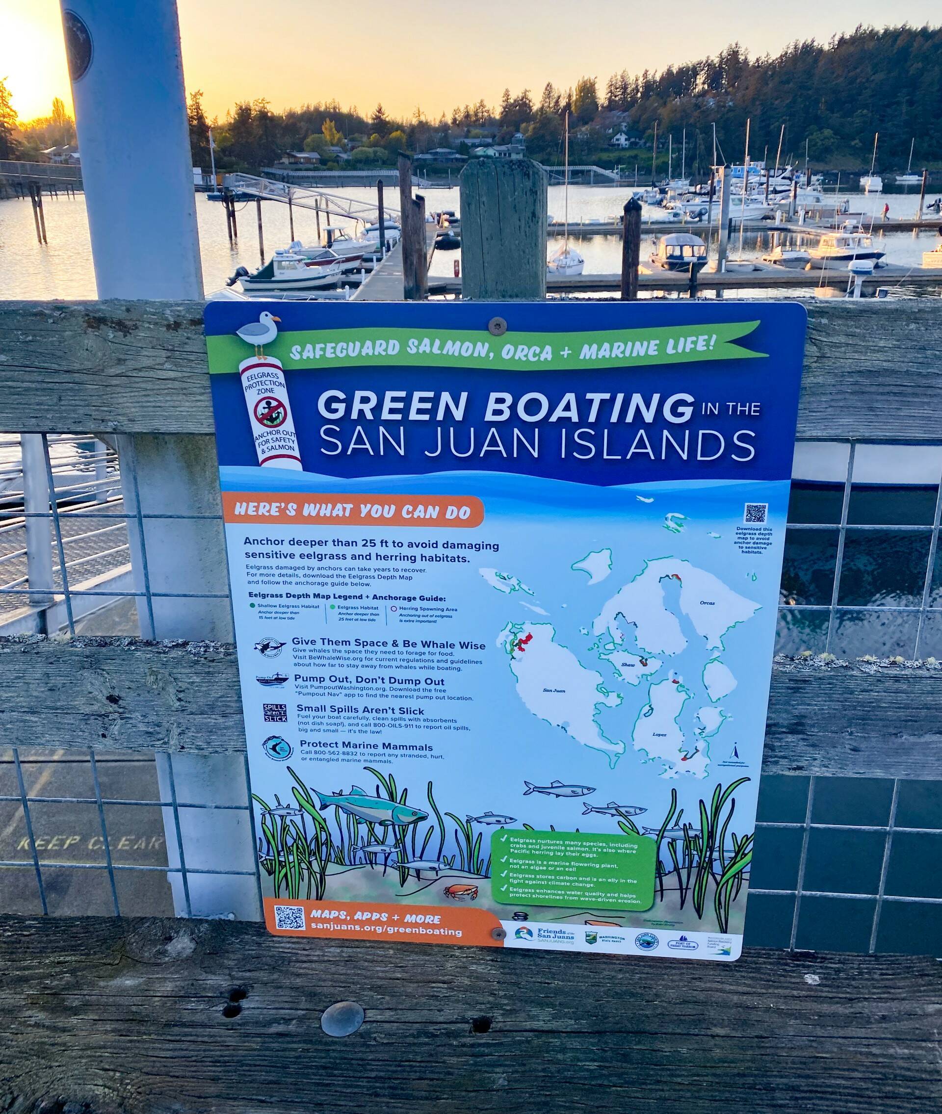 Contributed photo
To make it easier for boaters to be Green, Friends has created new educational signs with maps and data on eelgrass and herring habitats, whales, and handy resources for boaters. These signs are being installed at marine parks, docks, and marinas across the islands.