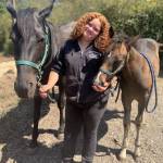Colleen Smith Summers photo.
Poppy with Lucky (left) and Star (right).
