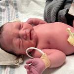 Contributed photo from WSF.
Arlo Mack came into the world on the ferry.