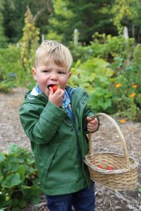 Pebble Cove Farm on Orcas by Lisette Wolter McKinley.
