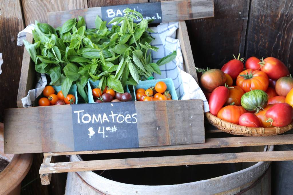 Savor the San Juans Orcas Farm Tour by Lisette Wolter McKinley.