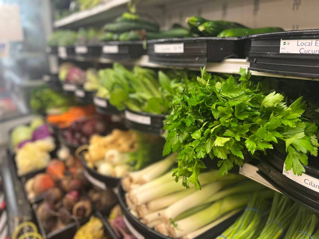 Colleen Smith Summers photo.