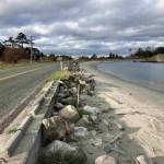 Mackaye Harbor Road.