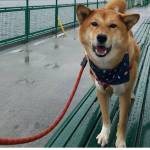 Photo by Markus McGruff.