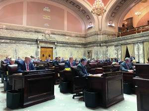 Senators vote on additions to Washingtons Shield Law. The law protects patients and health care workers who provide reproductive services in the state. Mary Feusner photo.