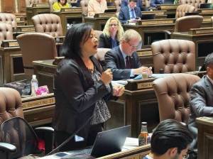 Rep. Lillian Ortiz-Self, D-Mukilteo, argues for House Bill 1232 during a long argument on March 7. She said she hopes 1232 will help living conditions and mental health support improve at the immigration detention center in Tacoma. Photo by Taylor Richmond.