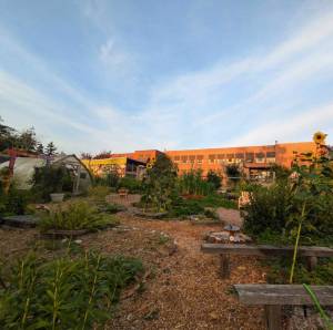 Photo courtesy of Orcas Farm to Classroom and Mandy Randolph.