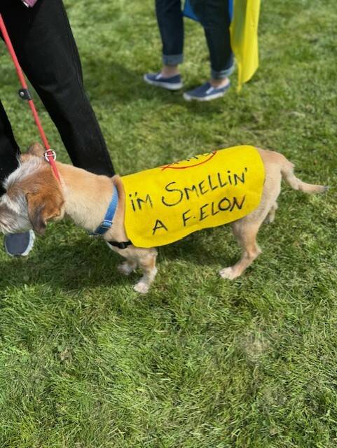 Heather Spaulding \ Staff photo
Dogs were allowed, and busy using their noses.