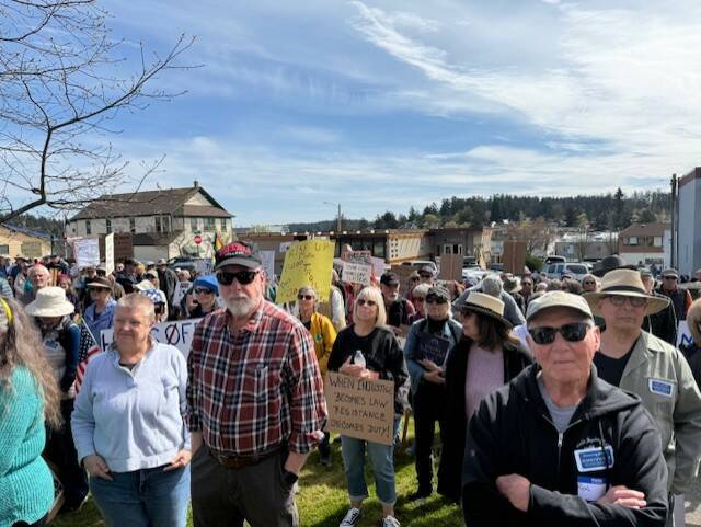 Heather Spaulding  Staff photo 
A snap shot of the crowd.