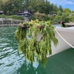 Miramonee Darling photo.