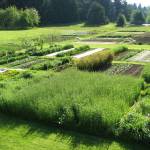 Contributed photo.
Orcas Farm.