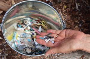 Contributed photo.
Microplastics.