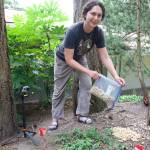 Darrell Kirk photo.
Cynthia Frausto places nuts to attract squirrel species.