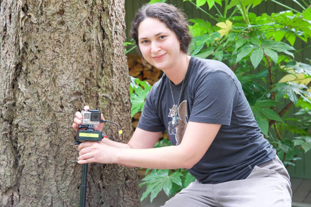 Darrell Kirk photo.
Cynthia Frausto sets up a camera to catch sightings of squirrel species.