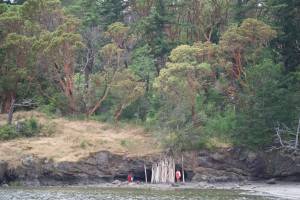 Darrell Kirk photo.
A wall of driftwood covers a cave on Crescent Beach.