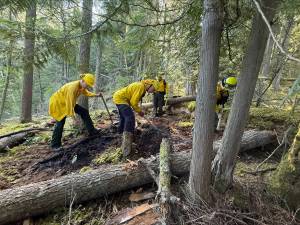 Ben Luna photo.
Firefighters work on the Mountain Lake fire.