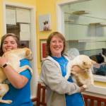 Darrell Kirk photo.
APS staff member Cheryl Stebbins with her dog Mango (adopted from the shelter) and Executive Director Kristina Snyder with Daphne, who is available for adoption.