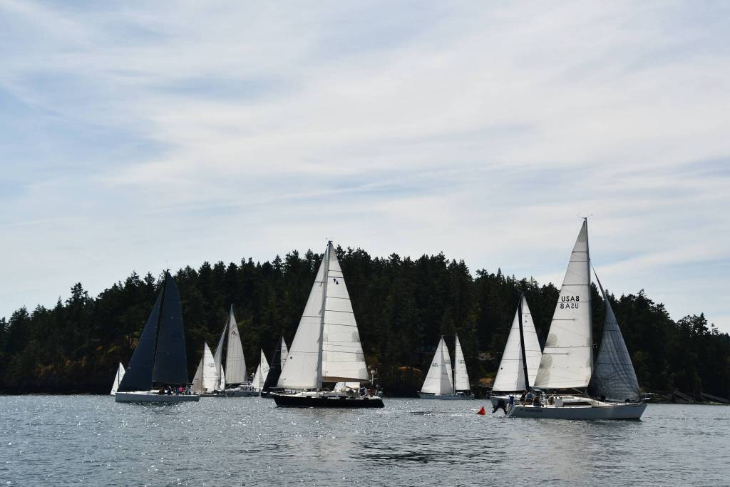 Peg Gerlock photo.
Pulelehua pulls surprise maneuver.
