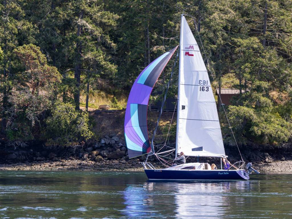 Sue Corenman.
Purple Martin.