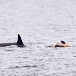 Conner Helms photo.
Conner Helms photo.