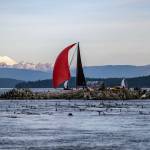 Contributed photos by Sean Trew
A boat passes kelp-covered rocks.