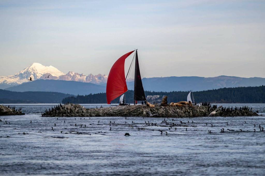 Contributed photos by Sean Trew
A boat passes kelp-covered rocks.
