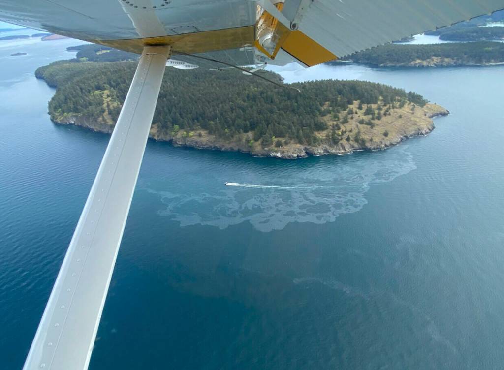 Contributed photo.
May 2, 2024: In a late-night asleep-at-the-wheel incident, the fishing boat Chief Joseph grounded and sank at Henry Island, west of Roche Harbor. The skipper and dog were rescued, but a diesel slick quickly developed and spread along the shoreline. IOSA was on the scene early the following morning and helped to locate and buoy the wreck, after which contractor divers sealed off fuel vents to minimize pollution. Seven days later the vessel was raised and towed away on a barge.