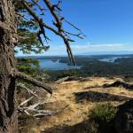 Darrell Kirk photo.
Turtleback Mountain.