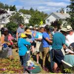 Contributed photo.
A Market Day past.